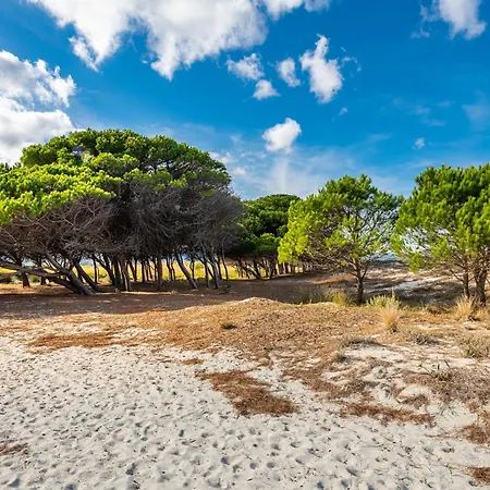 Pompia-6 By Interhome Santa Lucia (Sardinia)
